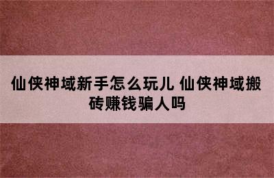 仙侠神域新手怎么玩儿 仙侠神域搬砖赚钱骗人吗